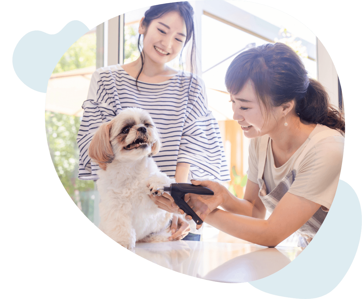 トリミングレッスン