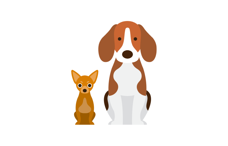 小型犬~大型犬までOK!